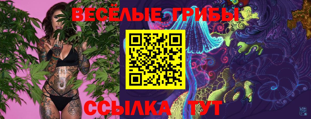 Галлюциногенные грибы прущие грибы Выборг