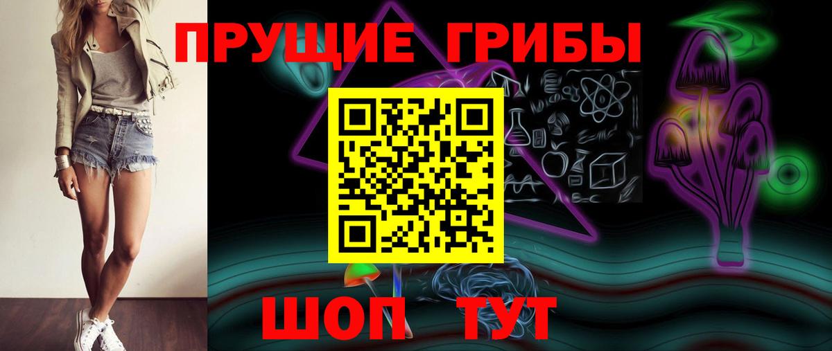 Галлюциногенные грибы MAGIC MUSHROOMS  Вход с VPN  Выборг 